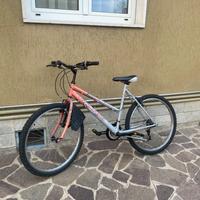 Bicicletta townsend dark mesa