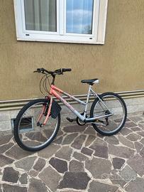 Bicicletta townsend dark mesa