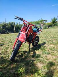 minimoto