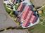 Immagine 14