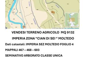 Terreno agricolo zona moltedo Imperia