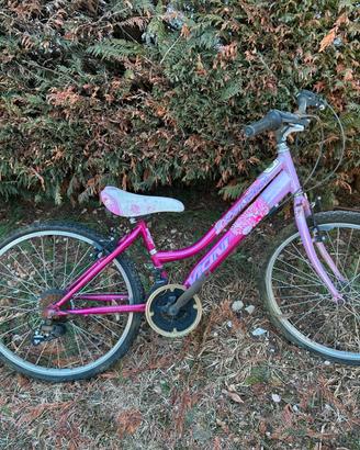 Bici Vicini