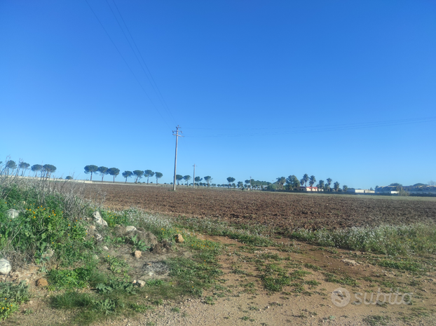 Fondo agricolo panoramico