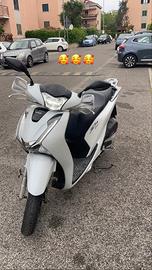 Sh 125 2018 bianco