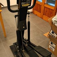 Step professionale Technogym Rampica