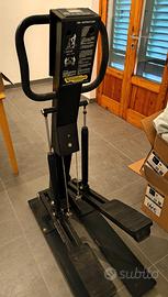 Step professionale Technogym Rampica