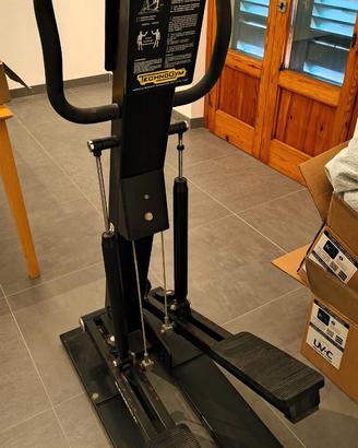 Step professionale Technogym Rampica