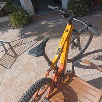 Bicicletta elettrica 