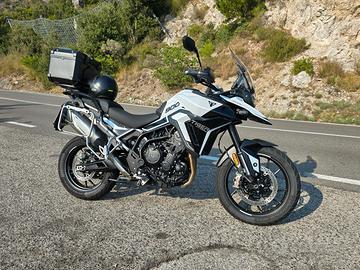 TIGER 900 GT PRO