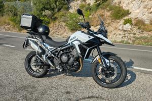 TIGER 900 GT PRO