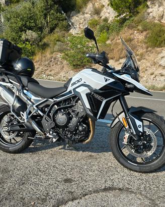 TIGER 900 GT PRO