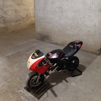 Minimoto 54cc/ 49cc GP