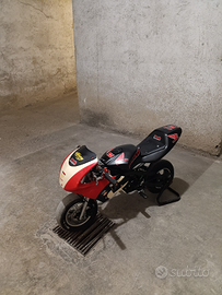 Minimoto 54cc/ 49cc GP