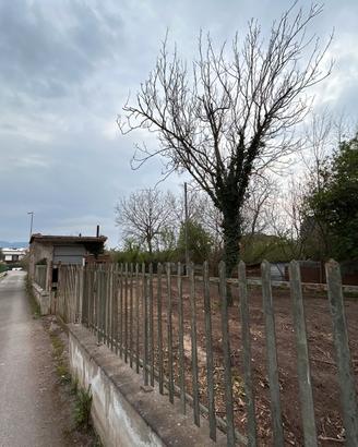 Terreno agricolo