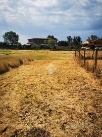 TER. AGRICOLO A FIUMICINO