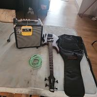basso+amplificatore+custodia 