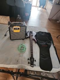 basso+amplificatore+custodia 