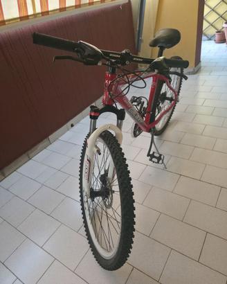 MTB 26" Galaxy XC Trance