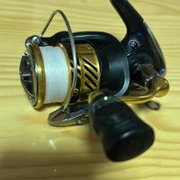 Mulinello daiwa 2500