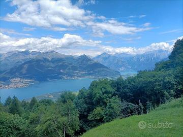 Bilocale lago/montagna