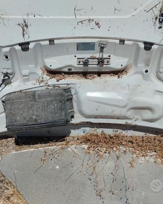 Cofano anteriore Renault master 2012