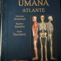 Atlante anatomia umana - Anastasi