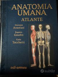 Atlante anatomia umana - Anastasi