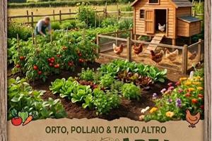 spazio per orto o pollaio pergine valsuga