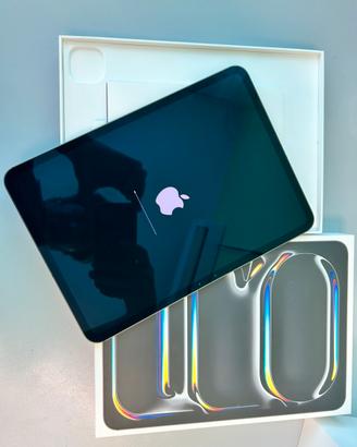 IPad Pro 11 M4 Wifi cell 512gb Garanzia 1 Anno