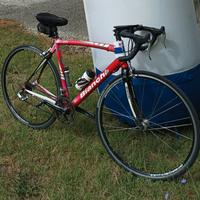BIanchi nirone