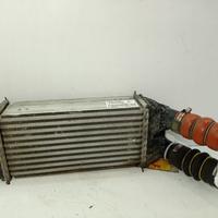 INTERCOOLER CITROEN C4 Cactus 9803900780 DV6FD-BHY