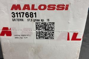 Gruppo termico malossi vespa smallframe,