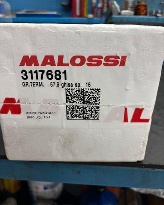 Gruppo termico malossi vespa smallframe,