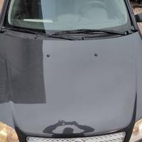 MUSATA PER FIAT PUNTO III 188 1.2 BENZINA 2004