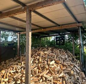 legna da ardere secca garantita 