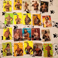 Lotto 160 carte wwe wrestling