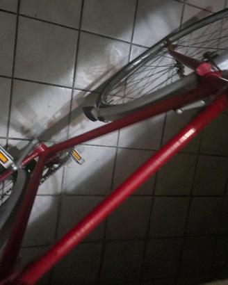 Bicicletta Da uomo da passeggio da 28