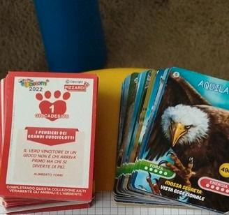 Figurine Amici Cucciolotti 2022 Pizzardi