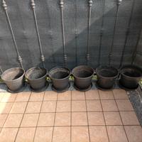 6 vasi con sottovaso / piatto per piante usati 