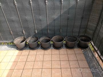 6 vasi con sottovaso / piatto per piante usati 