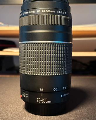 Canon Zoom Lens EF 75-300mm f4/5.6