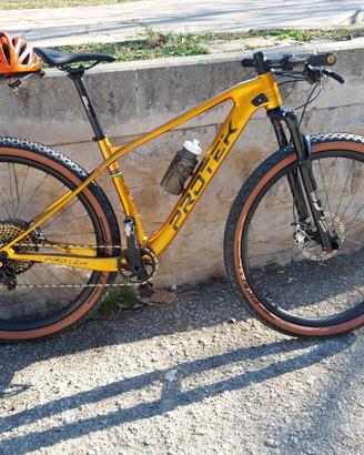 Mountain bike Protek Victoria