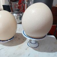 UOVA DI STRUZZO PER DECORAZIONE