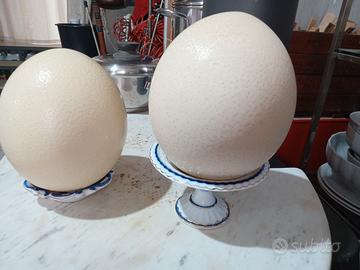 UOVA DI STRUZZO PER DECORAZIONE