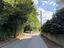 Immagine 7