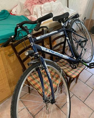 Bicicletta frejus storm