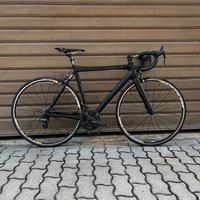 DEDACCIA NERISSIMO - TG. M - CENTAUR\CHORUS 11v