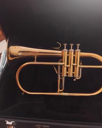 Flicorno soprano