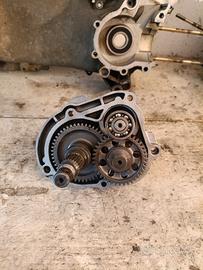 Ingranaggi posteriori ruota 