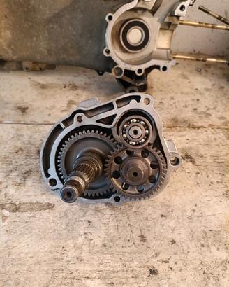 Ingranaggi posteriori ruota 